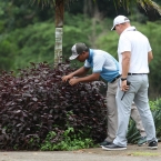gialon troubled in flower bed in hole 9
