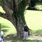 lascuna under the tree in hole 15